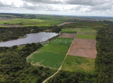 Rural · 300ha · 4 Quartos · Fazenda 345 Hectares