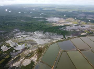 Rural · 500ha · Canguaretama 500 Hectares