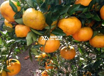 Rural · 150m² · 3 Quartos · 4 Vagas · Fazenda / Sítio para venda em Zona Rural de 150.00m² com 3 Quartos, 1 Suite e 4 Garagens