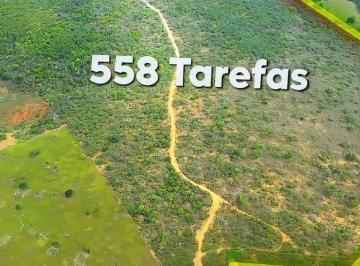 Rural de 3 quartos, Ubaíra · Fazenda a Venda com 558 tarefas - Ubaíra - Bahia - Vale do Jiquiriça