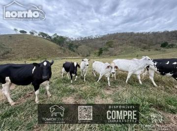 Imagem 1 · Casa para venda em Área Rural de Teófilo Otoni, Teófilo Oton