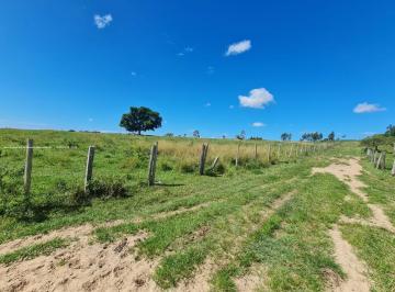 Imagem 1 · Terreno para venda em Barreto, Niterói