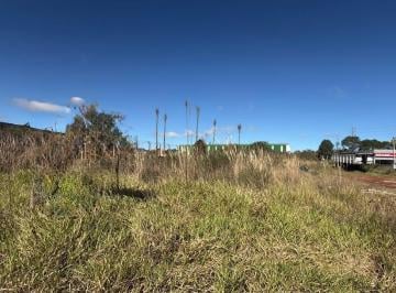 Comercial · Excelente Terreno em área de serviços Fazenda Rio Grande