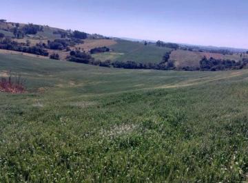 Imóvel Rural com Área de 72.600 m² (Gleba Alvorada) - Colônia Muquilão - Nova Tebas - PR - Foto [0] · Imóvel Rural com Área de 72.600 m² (Gleba Alvorada) - Colônia Muquilão - Nova Tebas - PR