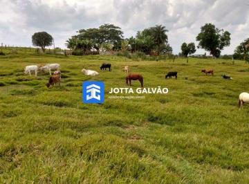 Rural · 60500m² · 2 Quartos · 10 Vagas · Sítio a venda, 60.500m² - Sítio Novo, Artur Nogueira - SP