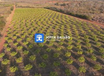 Rural · 15000000m² · 10 Vagas · Fazenda a venda,150.000,00 m² - Abaiara/CE