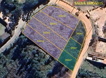 Terreno · 2750m² · Terreno à venda - em Terra Preta