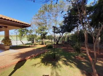 e640f358ac78791b31000dfad340b32b076ffedb · Terreno Residencial à venda, Parque Bom Retiro, Paulínia - TE1050.