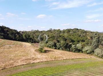 ee7a3d854470eb098442c3bf3b1e46b4b1e836b6 · Sítio Rural à venda, Piedade, Piedade - SI0011.
