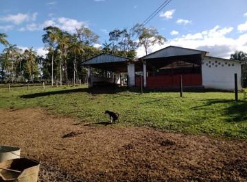 Rural en Venda de 2 quartos · *SÍTIO À VENDA EM PARIQUERA-AÇU,SP* COD: 6187 F:(11) 97302-9229 CESAR