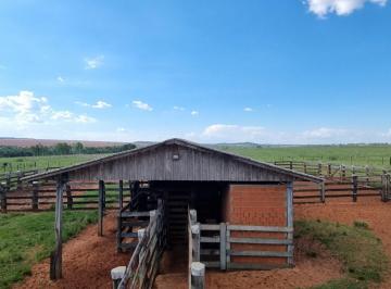 2117ad86-5b60-4208-8bef-049e25b8689c · Aconchegante terreno rural para venda em Amambaí, 18,340,000m²