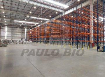 WhatsApp Image 2026-08-12 at 11.49 · Comercial para aluguel - em Pires