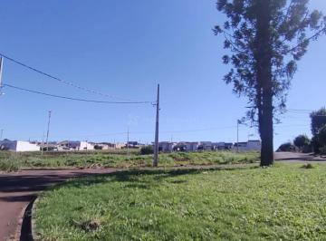 Terreno · 140m² · Terreno Padrão em Paiçandu
