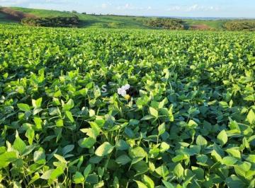 Rural · 288ha · Fazenda com 288 hectares Lavoura à venda em Arroio Grande