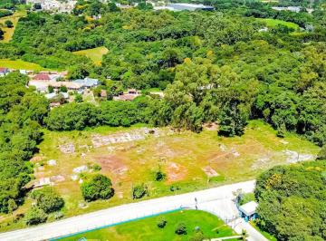 Terreno · 8000m² · Terreno para venda em São Miguel de 8000.00m²