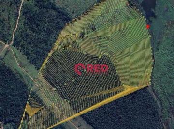 7f382cccdfa6206f316e608922dc7cd43b3c94c7 · Área à venda, 136000 m² por R$ 9.500.000 - Jardim Carolina - Sorocaba/SP