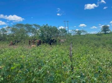 Rural de 2 quartos, Caridade · Vendo fazenda em Campos Belos, distrito de caridade Ceará, distante 3 km do centro, acesso muito bom