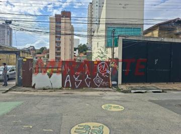 de80b6f91ead9c0e2a52c3323ef76570.jpg · Terreno