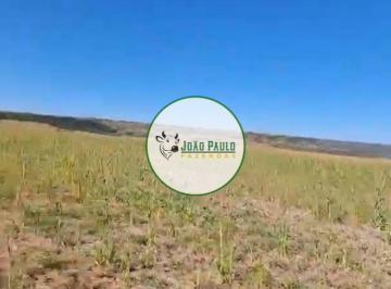 Rural , Caiapônia · Arrendamento agricola em Caiaponia-GO - 550 Hectares - Região de safra e safrinha