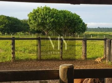 Imagem 1 · Fazenda para venda em Nova Santa Helena