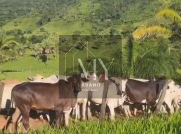 Imagem 1 · Sítio para venda em Centro, Santo Antônio do Leste