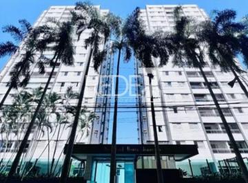 0 · apartamento à venda em Bosque