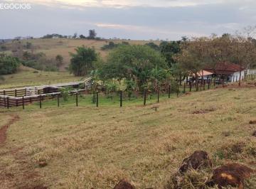 Foto 01 · Sítio venda. Empório Negócios vende sítio pecuária na região de Cajuru - SP.