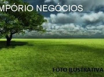 Foto 01 · Sítio venda. Empório Negócios vende sítio pecuária na região de Cajuru - SP.