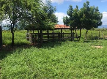 Rural de 1 quarto, Pentecoste · Excelente propriedade a venda na região próxima a BR 020 em Pentecoste com 102 hectares, toda plana.