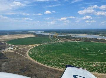 Imagem aérea destacando a proximidade dos círculos de irrigação com a margem do Rio São Francisco. · Fazenda 1.756 ha à Venda em Barra-BA | Pivô no São Francisco