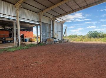 Barracão amplo e coberto para guarda de maquinários, equipamentos, insumos e logística operacional. · Fazenda à Venda em Canarana MT | 579 ha Pronta P/ Plantar