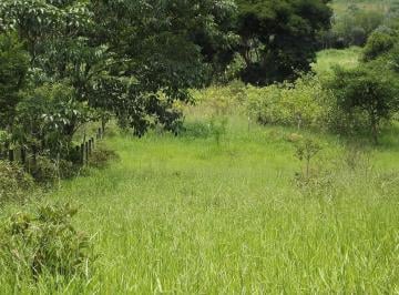 20210924180455261.JPG · Chácara para Venda em Guaratinguetá, Bom Jardim I