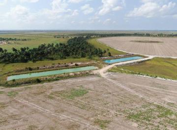 Rural , Boa Vista · FAZENDA COM 278 HECTARES EM BOA VISTA RR
