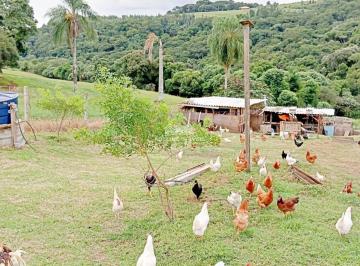 Rural · 24m² · Rurais em AFCB - Cidade Nova, Carambeí
