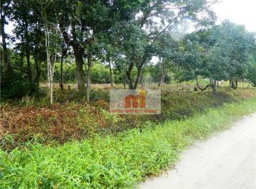 8002ab5baabe69405b8f17b3728f9ad27a011b3c · Terreno à venda, 1645 m² por R$ 350.000,00 - Estância Santa Gabriela - Peruíbe/SP