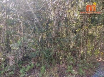84102c27894a21e3dc96bf6f95b700a45ba852a5 · Terreno à venda, 364 m² por R$ 60.000,00 - Estância Santa Gabriela - Peruíbe/SP
