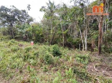8d05b3048b50c55bdb43ad86ef531c3ea050d794 · Terreno à venda, 300 m² por R$ 45.000,00 - Cidade Nova Peruibe - Peruíbe/SP