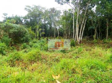 21c25445465dbee4fe64d3b454e0ab0a33542bcc · Terreno à venda, 390 m² por R$ 80.000,00 - Cidade Nova Peruibe - Peruíbe/SP