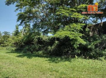 b1fa7964e24c807614463ac28084a529b26839e4 · Terreno à venda, 402 m² por R$ 80.000,00 - Estância Santa Gabriela - Peruíbe/SP