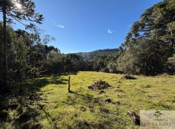 Rural · 40000m² · Área à venda em Urupema/SC