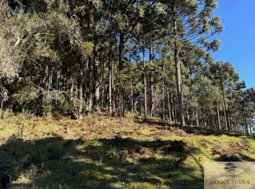 Rural · 20000m² · Área à venda em Urupema/SC