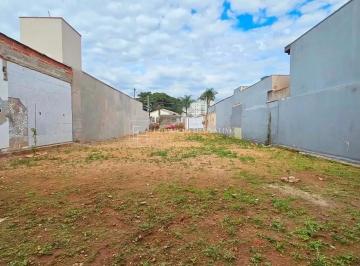 whatsapp-image-2026-07-30-at-09-36-15-11786457307494.jpeg · Imoveis - na Ponte de São João