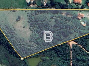 Rural · 34543m² · 4 Quartos · 11 Vagas · Fazenda / Sítio para venda em Caioçara de 34543.00m² com 4 Quartos, 2 Suites e 11 Garagens