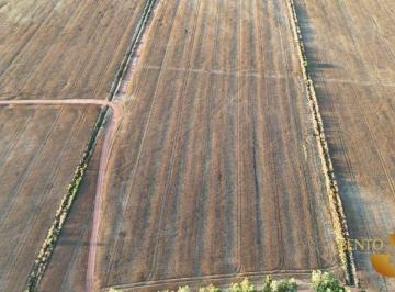 1cb8a3710ff80aa087d7e40ef419b2eb76d0395e · Fazenda à venda, 4961000 m² por R$ 35.000.000,00 - Zona Rural - Dois Irmãos do Tocantins/TO