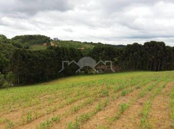 Imagem 1 · Sítio para venda em Centro, Campo Alegre