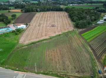 Rural , São José dos Pinhais · Chácara à Venda em São José dos Pinhais