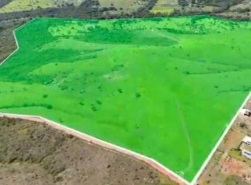 Rural de 2 quartos, Gama · Fazenda 75 Hectares Escriturada!