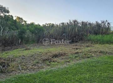 20260419_173238.jpg · Terreno, 340 m², em Florescente