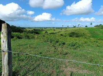 Rural , Conceição do Almeida · Sitio à Venda na Baixa da Areia - Conceição do Almeida