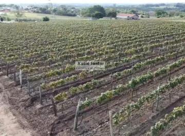 202608121325218730.jpeg · Sítio para Venda em Indaiatuba, Chácaras Videiras de Itaici